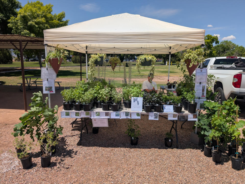 Us at the Sierra Vista market