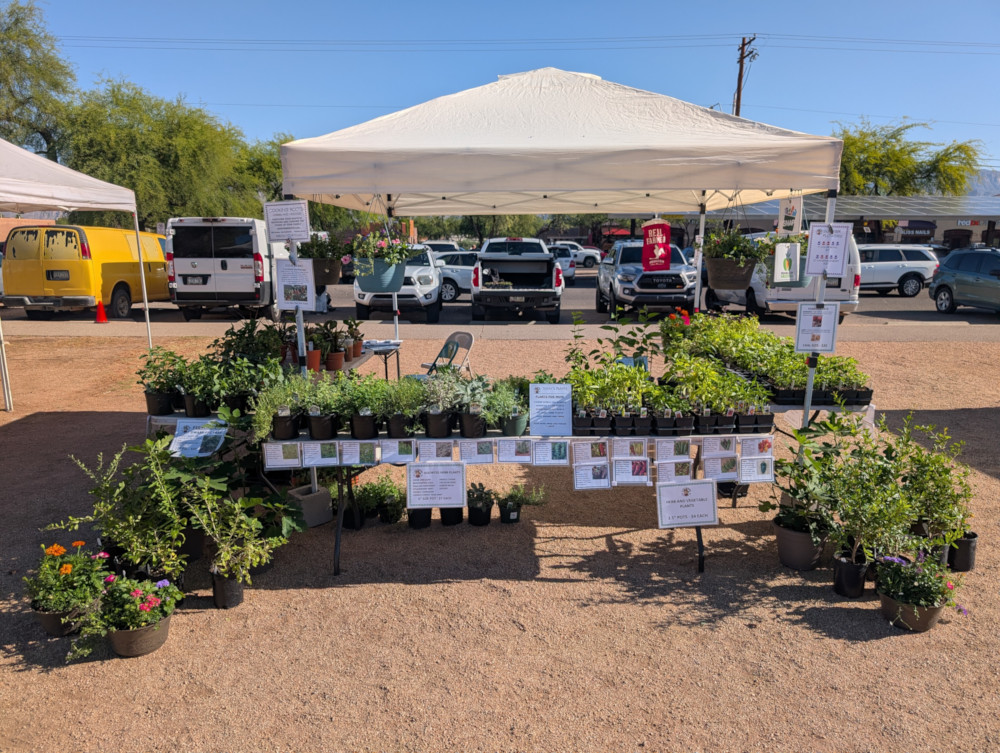 Us at the Udall market